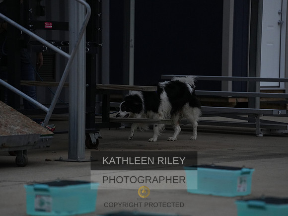 2022-KathleenRileyPhotography037