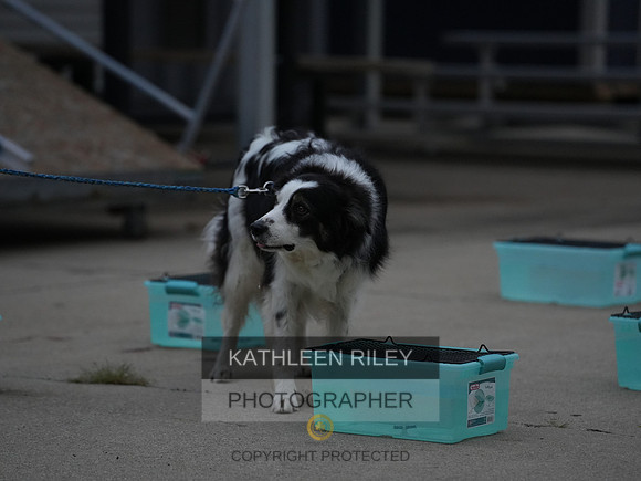 2022-KathleenRileyPhotography031