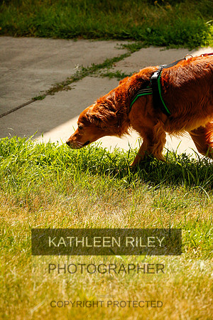 2022-KathleenRileyPhotography-0333
