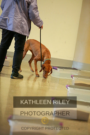 2022-KathleenRileyPhotography-7427