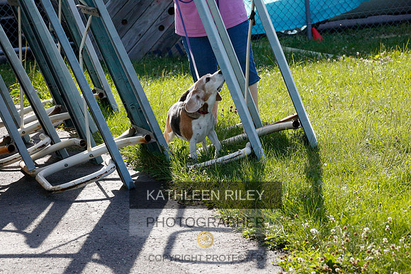 2022-KathleenRileyPhotography-9748