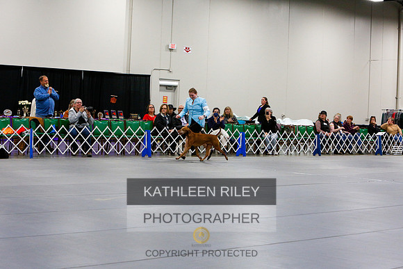2022-KathleenRileyPhotography-1382