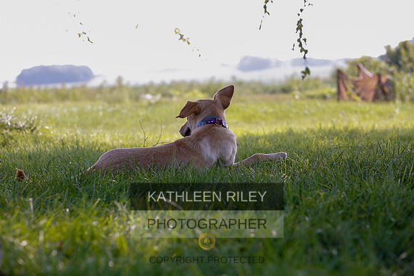 2022-KathleenRileyPhotography-7952