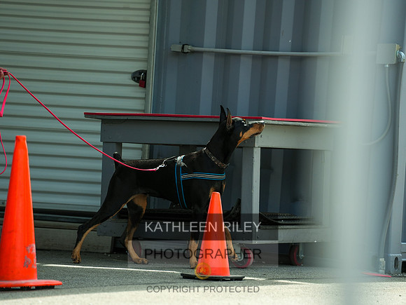 2022-KathleenRileyPhotography-04379