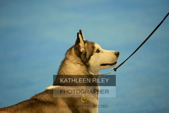 2022-KathleenRileyPhotography-6423