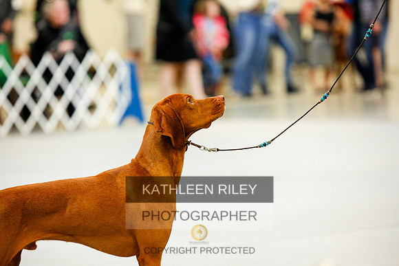2022-KathleenRileyPhotography-9276