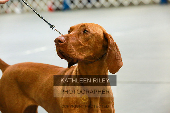 2022-KathleenRileyPhotography-8862