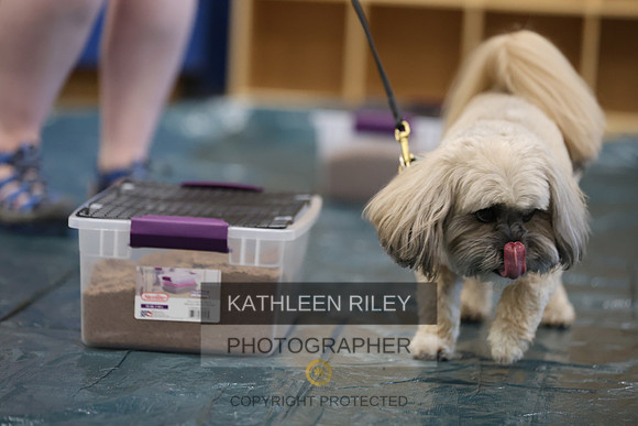 SJLT8906