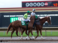 Seth Martinez on Dirt Road Queen  AQHA at Canterbury Park