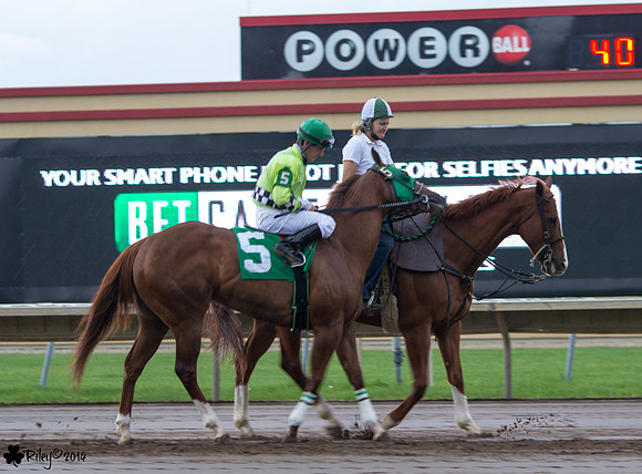 Seth Martinez on Dirt Road Queen  AQHA at Canterbury Park