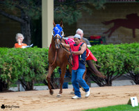 First Down Marie AQHA at Canterbury Park