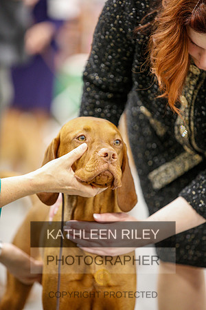 2022-KathleenRileyPhotography-1663