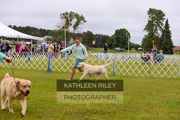 KARD2986