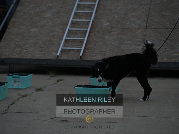 2022-KathleenRileyPhotography050