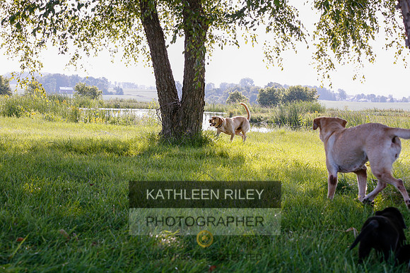 2022-KathleenRileyPhotography-7870