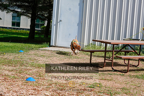 2022-KathleenRileyPhotography-9470