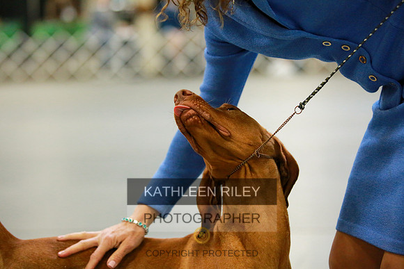 2022-KathleenRileyPhotography-8867