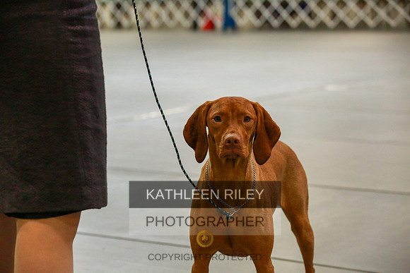 2022-KathleenRileyPhotography-8775