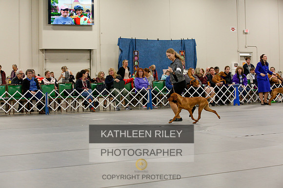 2022-KathleenRileyPhotography-9461