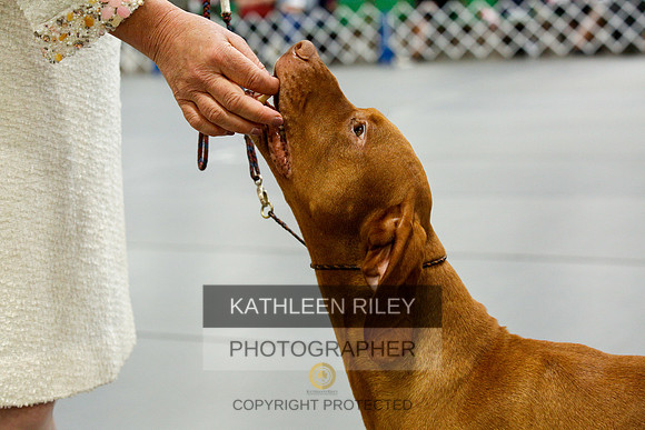 2022-KathleenRileyPhotography-0779