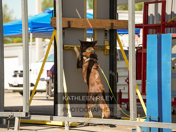 2022-KathleenRileyPhotography-04255