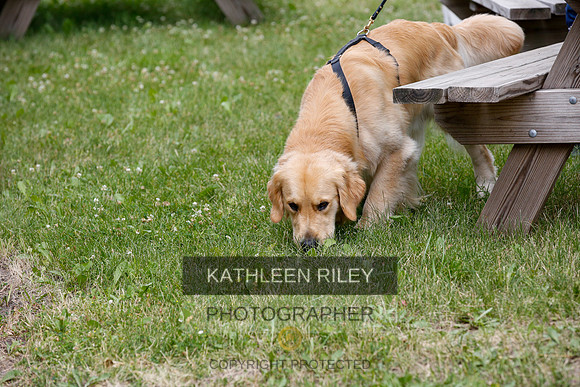 2022-KathleenRileyPhotography-9682
