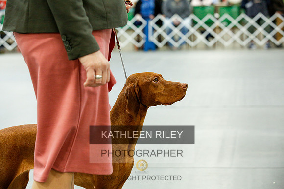 2022-KathleenRileyPhotography-9688