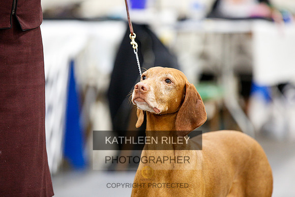 2022-KathleenRileyPhotography-2350
