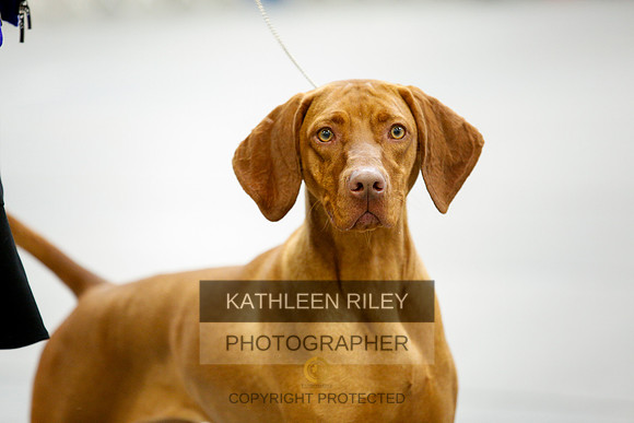 2022-KathleenRileyPhotography-9708