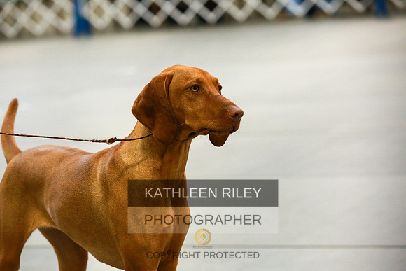 2022-KathleenRileyPhotography-8760
