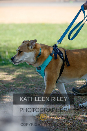 2022-KathleenRileyPhotography-3992