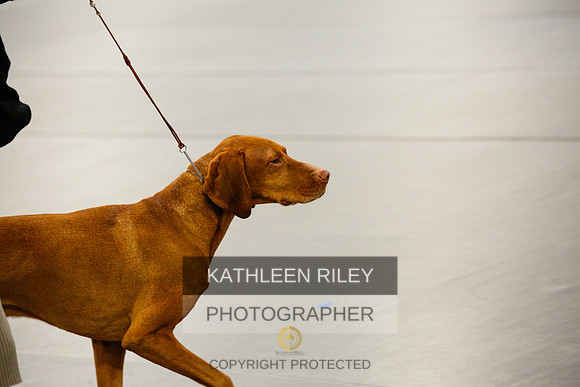 2022-KathleenRileyPhotography-1350