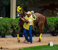 Track A Tac AQHA at Canterbury Park