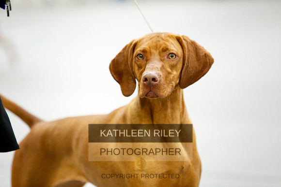 2022-KathleenRileyPhotography-9707