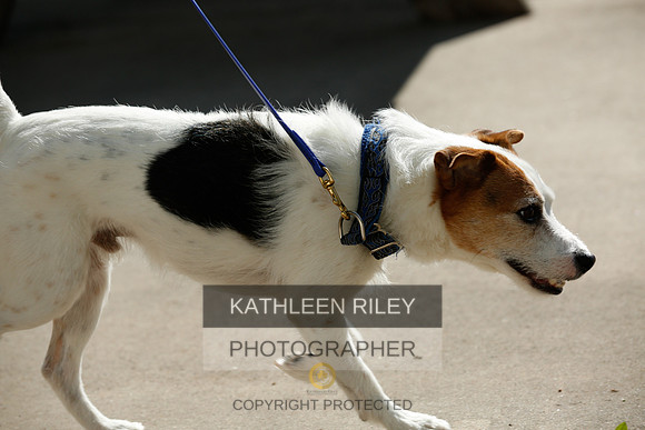 2022-KathleenRileyPhotography-2693