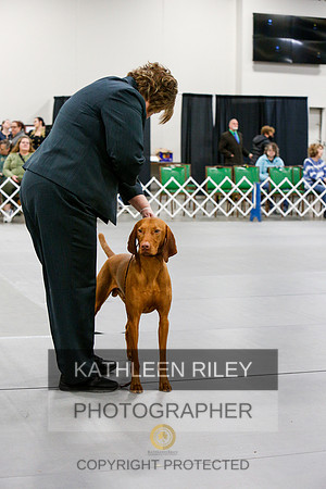 2022-KathleenRileyPhotography-6892