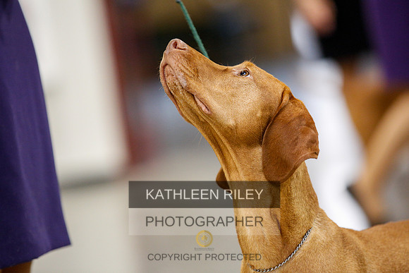 2022-KathleenRileyPhotography-2362