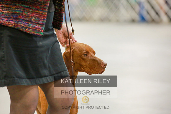 2022-KathleenRileyPhotography-8601