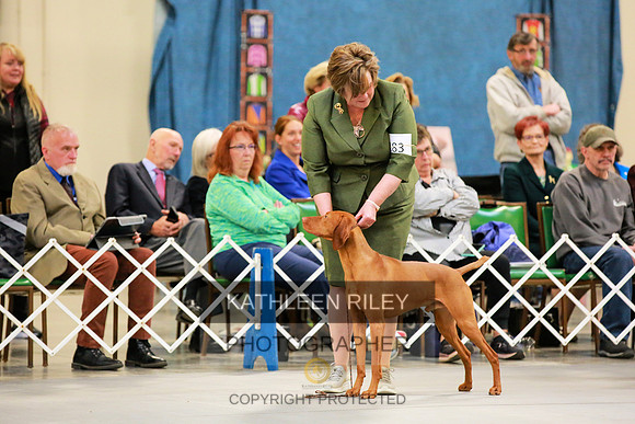 2022-KathleenRileyPhotography-8706