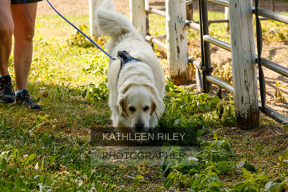 2022-KathleenRileyPhotography-0146