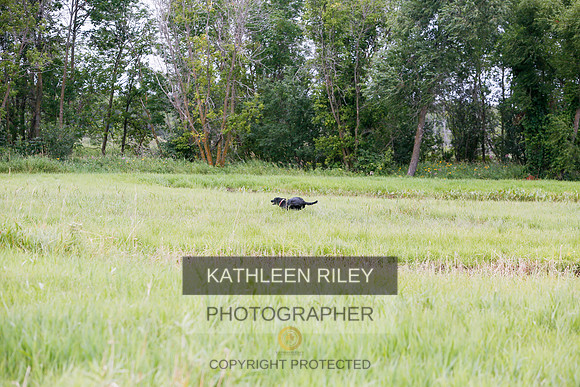 2022-KathleenRileyPhotography-3327