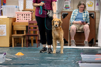 SJLT0222