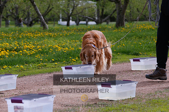 2022-KathleenRileyPhotography-8470