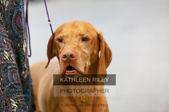 2022-KathleenRileyPhotography-7901