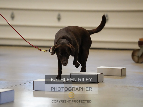 2022-KathleenRileyPhotography-03839
