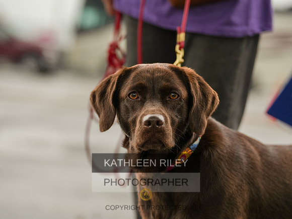 2022-KathleenRileyPhotography-05762