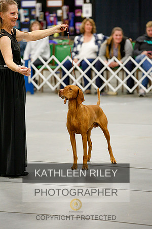 2022-KathleenRileyPhotography-0238