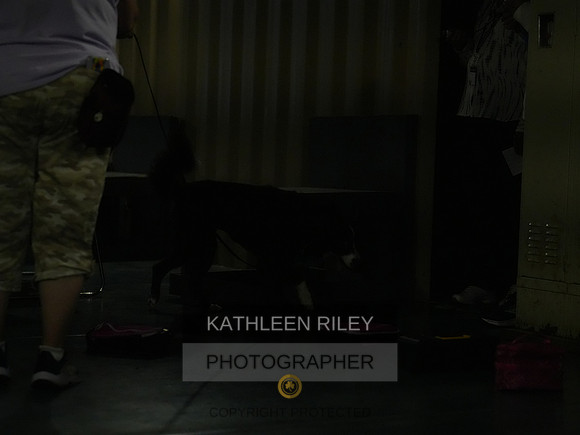 2022-KathleenRileyPhotography077