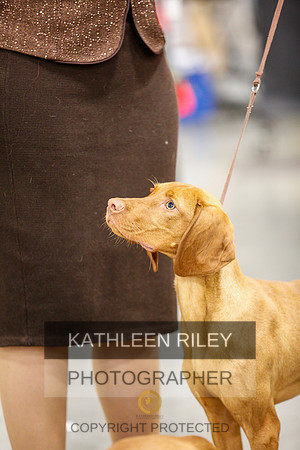 2022-KathleenRileyPhotography-1705