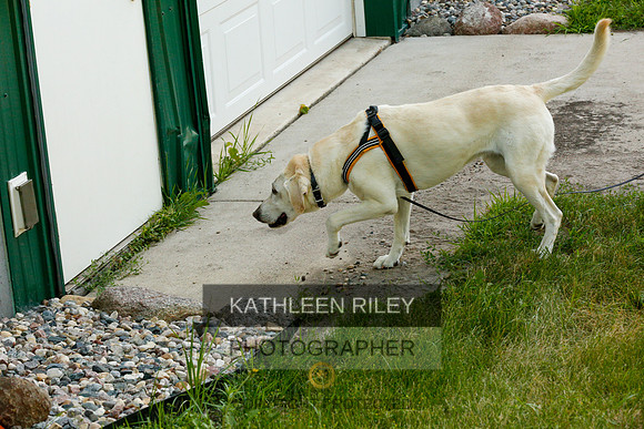 2022-KathleenRileyPhotography-0238